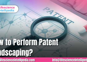 Perform Patent Landscaping