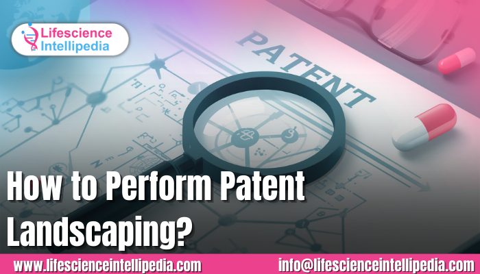 Perform Patent Landscaping