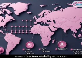 Centralized Procedure Approval Timeline in European Countries